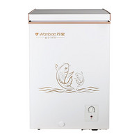 万宝（Wanbao）99升单温冰柜小型家用商用冷柜一机多用迷你易摆放 白色