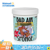 百思帮（Bad Air Sponge）空气净化剂 400g去异味除甲醛空气净化剂新家新车办公室必备