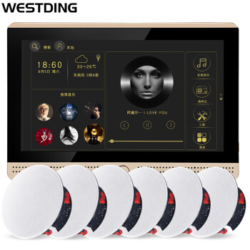  WESTDING/威斯汀 GM-10 智能 家庭背景音乐主机系统套装+吸顶音响喇叭+吊顶音响喇叭