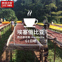 咖啡小镇 咖啡豆粉 西达摩花魁 手冲咖啡 单品 埃塞俄比亚原产地 咖啡豆 新鲜 现磨纯黑coffee 咖啡豆227g