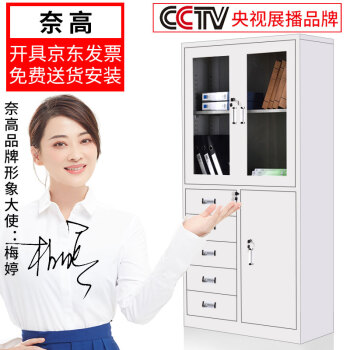 奈高NG文件柜办公柜钢制铁皮柜资料柜档案柜储物柜偏五斗文件柜