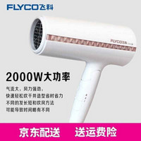 飞科（FLYCO） 电吹风 家用静音大功率吹风筒可折叠便携式吹风机冷热风FH6228