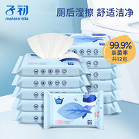 子初（Springbuds）湿厕纸 40抽x12包 擦除99.9%细菌 清洁湿纸巾湿巾