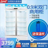 白雪 (Baixue) 冰柜400升立式展示柜 商超专用冷饮陈列柜 保鲜冷藏饮料柜SC-400FB
