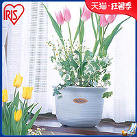 爱丽思IRIS 日本SEINE创意仿陶瓷 塑料花盆圆形爱丽丝盆栽小花盆