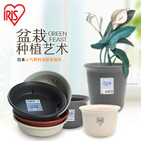 IRIS 爱丽思 日本ZEN花盆托 塑料圆形底盘 爱丽丝大号托盘接水盘