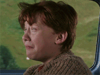 夏季炎热潮湿,头皮汗水和油脂的分泌更加汹涌,而头发的主要成分是