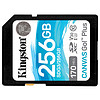 Kingston 金士頓 SDG3系列 SD存儲卡 256GB（USH-I、V30、U3）