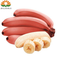 红美蕉 新鲜香蕉 红美人香蕉 现摘5斤装 应季水果 净重约5斤