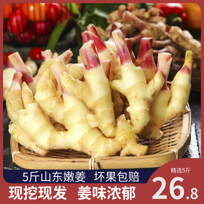 壹亩地瓜