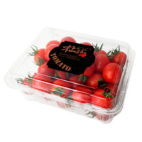 杜柿番茄 维纳果 西班牙高端进口品种 欧盟标准 供港品质 小西红柿番茄  现摘现发 维纳果PET盒500g*1盒
