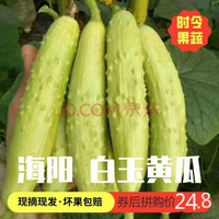 海阳白玉黄瓜新鲜5斤爽口好吃清脆美味吃货水果小黄瓜蔬菜产地直发 5斤装