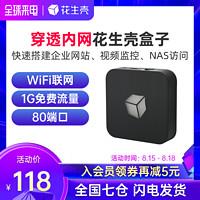 花生壳盒子花生棒Pro内网穿透NAT ngrok公网IP WiFi联网Web服务器FTP服务器办公SVN微信frp测试建站DDNS