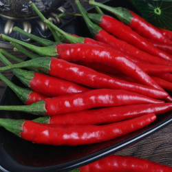 新鲜小米辣椒新鲜蔬菜5斤