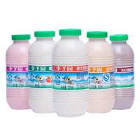 李子园 甜牛奶原味225ml五种口味混搭草莓朱古力哈密瓜荔枝10瓶装整箱 草莓甜奶10瓶