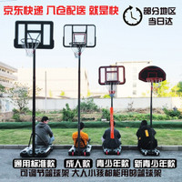 驯良鸽 可移动篮球架户外 成人青少年儿童高度可调节升降标准家用篮球框架蓝球架子 通用标准款（篮筐调节1.8-3.05米）