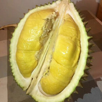 【秦油禾】正宗猫山王马来西亚进口榴莲带壳整个新鲜水果一件顺丰到家 3-4斤