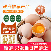 齐鲁畜牧无公害新鲜鸡蛋30枚整箱A级谷物无菌鲜助农生鸡蛋新鲜