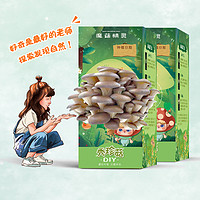 2盒装魔菇精灵家庭室内儿童盆栽亲子DIY菌菇魔盒蘑菇种植包秀珍菇