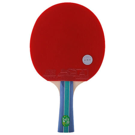双鱼 DOUBLE FISH）乒乓球拍横拍二星入门级近台快攻双面反胶成品拍2A-C长柄赠3球