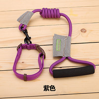 宠百思（PETBEST）狗链狗绳攀岩系列宠物外出牵引绳 紫色（绳+项圈） L-40kg左右