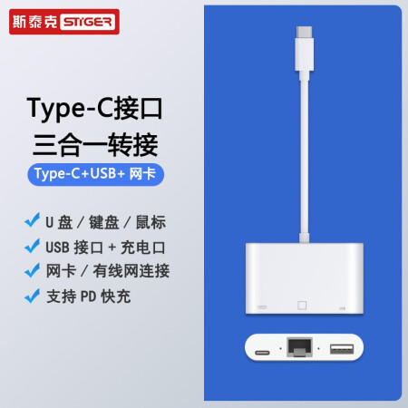 斯泰克 Type-C转百兆有线网口USB-C转RJ45转换器扩展坞网线转接头支持OTG/PD快充 iPad Pro/华为/小米手机