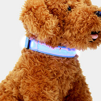 宠百思（PETBEST）宠物猫狗发光项脖圈猫泰迪大狗夜光项圈荧光项圈宠物用品 蓝色 L-号充电款