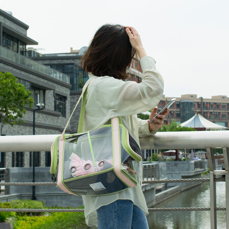 乐优派猫包猫咪外出透明包便携透气幼猫猫袋携带旅行单肩PU皮粉绿色大号