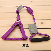 宠百思（PETBEST）狗链狗绳攀岩系列宠物外出牵引绳 紫色（绳+胸背） L-40kg左右