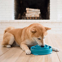 酷极 狗狗慢食碗