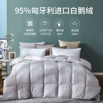 奈士迪95%匈牙利进口白鹅绒双人单人冬被加厚羽绒被芯保暖全棉被子 95%匈牙利进口白鹅绒 200*230cm（填充量1200g）