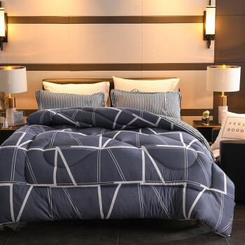 北极绒 被子 秋冬被加厚双人被芯被褥 纤维学生盖被棉被春秋被 梦幻空间 150*200cm 4斤