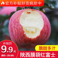 5斤 自然搭档 陕西丑苹果 膜袋苹果 单果75mm+ 口感酸甜  5斤优选装
