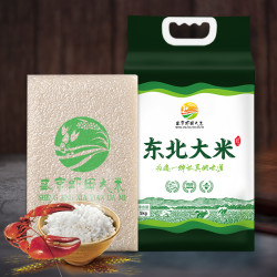盛京虾田大米东北一级新米真空包装有机转换大米5kg2袋