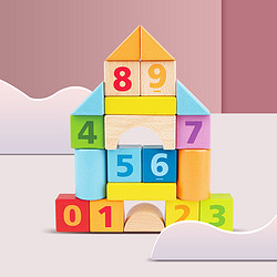 德国12个月以上婴幼玩具儿童积木玩具基础启蒙益智20块积木