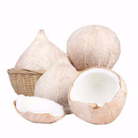 海南椰子 椰皇椰白 新鲜椰青水果 8个装单个约1.3斤