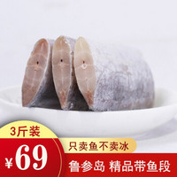 鲁参岛 精品带鱼段 去头去尾 精选中段 新鲜冷冻 不含冰  3袋装(1500g）