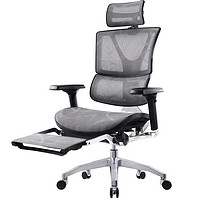 Ergoup/有谱 启元人体工学椅电脑椅办公椅老板椅双背护腰久坐可躺