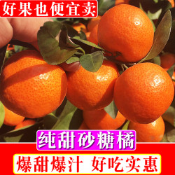 广西武鸣砂糖橘沙糖桔子柑橘新鲜水果小橘子9斤