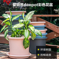 爱丽思彩色Deepot深型月季铁线莲树脂大口径爱丽丝塑料加仑厚花盆