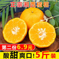 湖南湘西椪柑桔子橘子生鲜水果 5斤装净重4.5斤 *2件