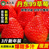 99草莓红颜奶油大草莓 3斤家庭装（净重2.8斤）