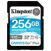Kingston 金士頓 SDG3系列 SD存儲卡 256GB（USH-I、V30、U3）