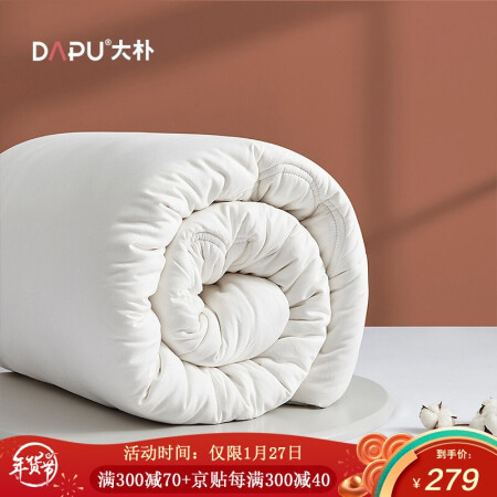 大朴（DAPU）被芯 A类纯新疆棉花被 春秋被子 云呼吸抗菌被面 净重5斤 大双人 220*240cm