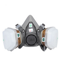 3M 防毒面具防尘口罩面罩 防甲醛防雾霾 防雾霾PM2.5 yzl 6200+6005
