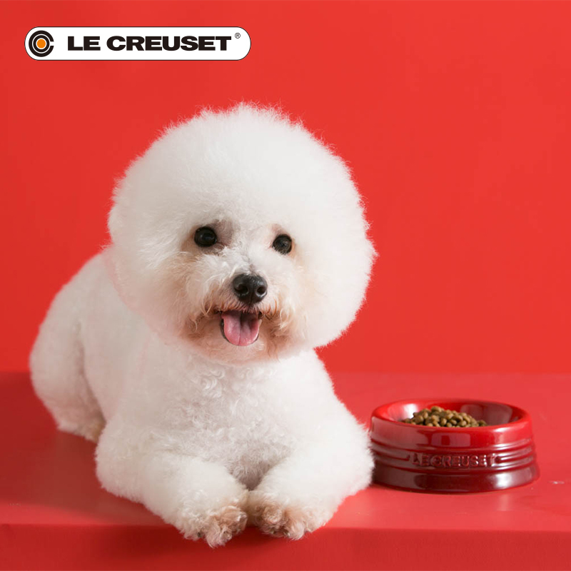 法国Le Creuset酷彩 宠物系列狗狗食盆中型犬碗狗狗猫咪宠物用品