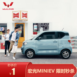 宏光miniev 自在款