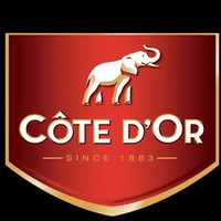 COTE D'OR/克特多金象