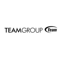 十铨 Team