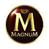 MAGNUM/梦龙